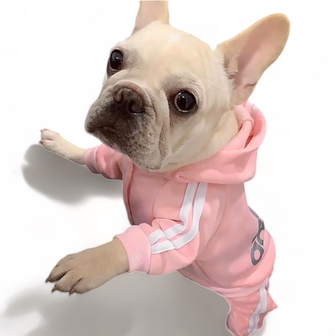 Adidog Tracksuits