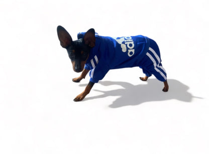 Adidog Tracksuits