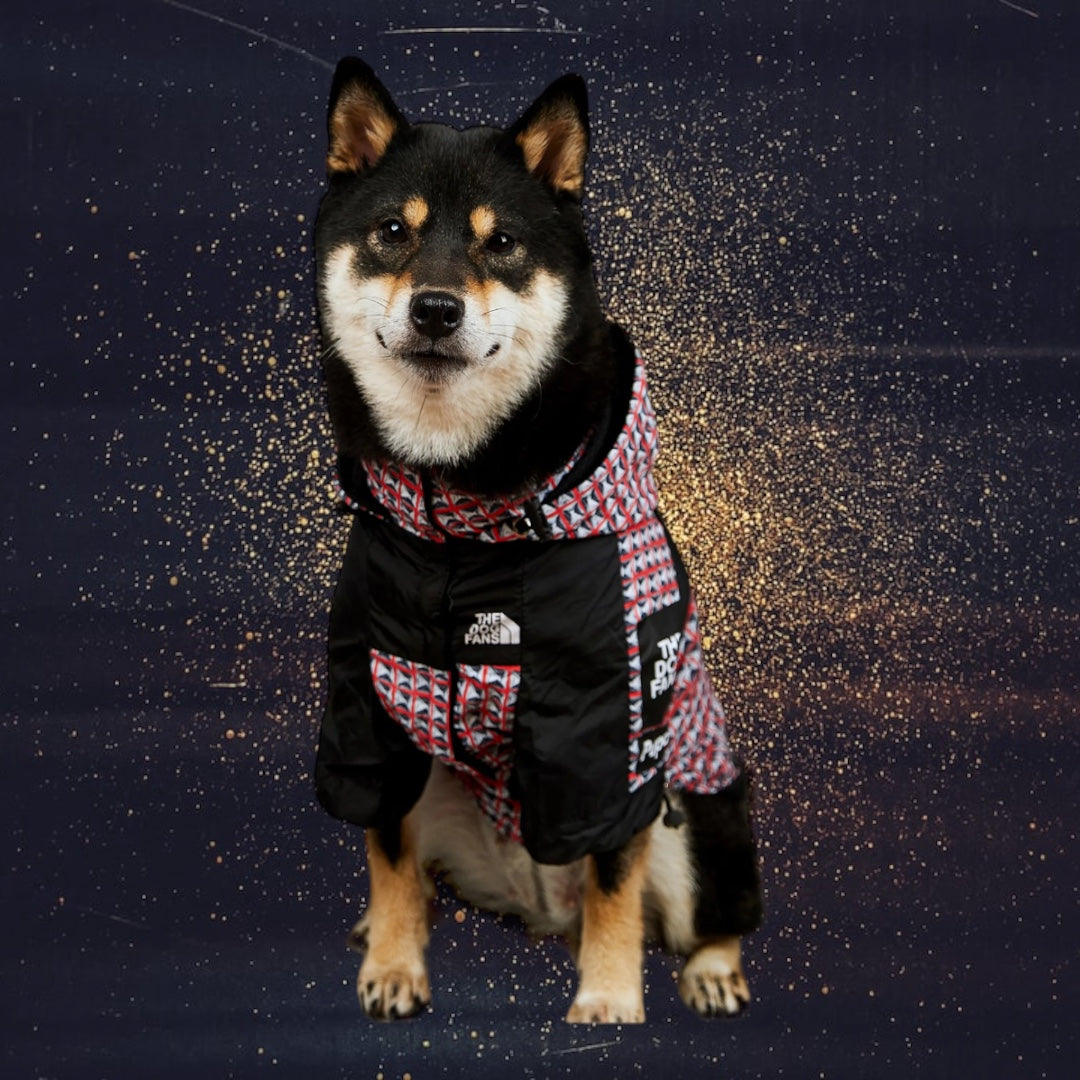 LUXURY HIGH QUALITY PET JACKET