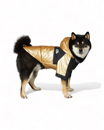 LUXURY WATERPROOF GOLD PET JACKET