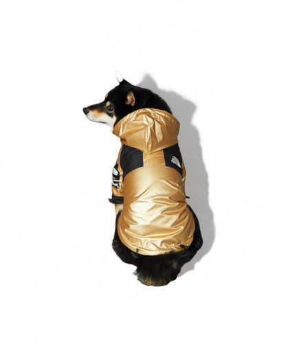 LUXURY WATERPROOF GOLD PET JACKET