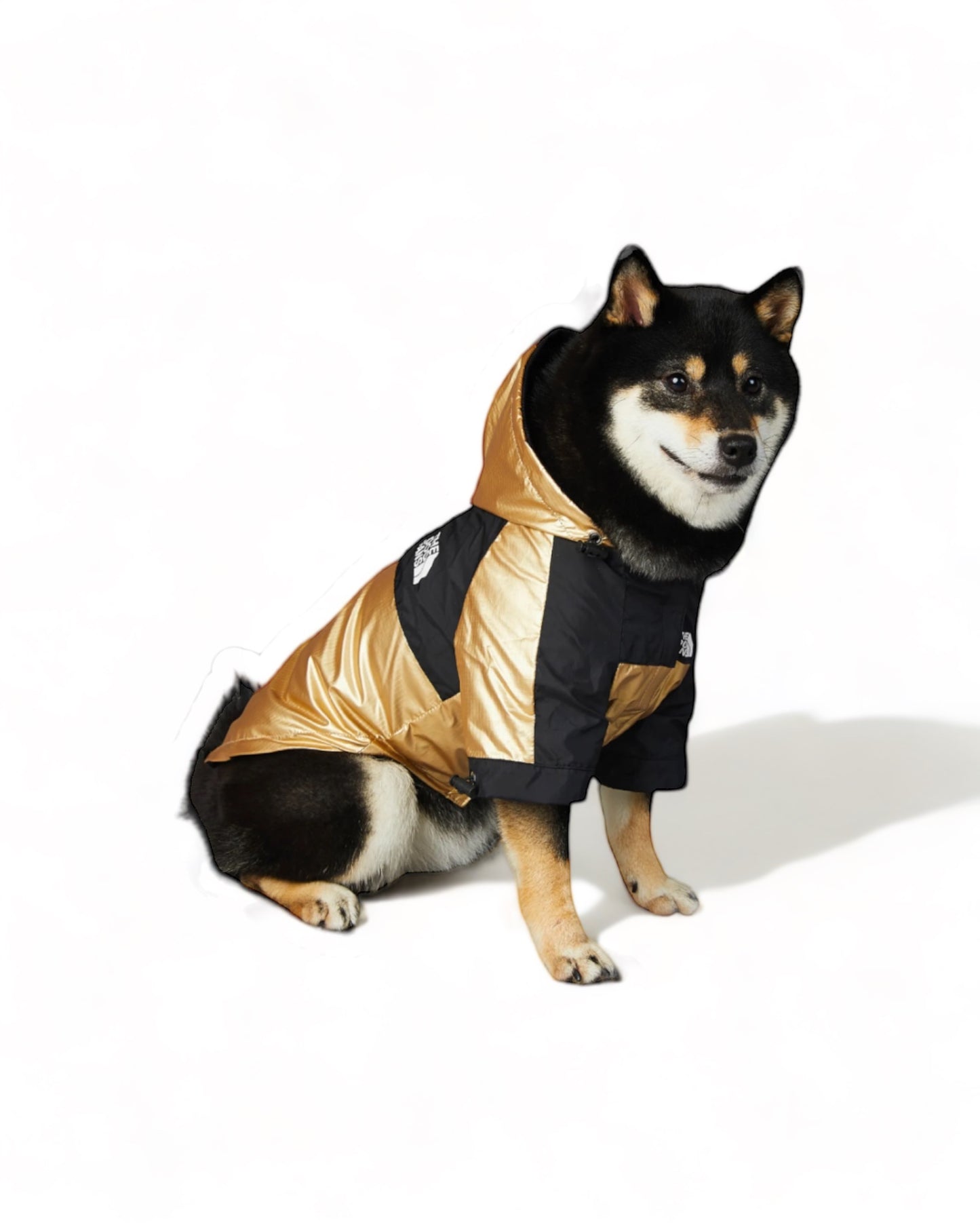 LUXURY WATERPROOF GOLD PET JACKET