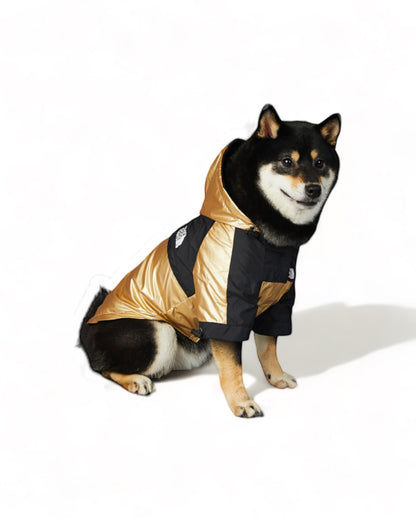 LUXURY WATERPROOF GOLD PET JACKET