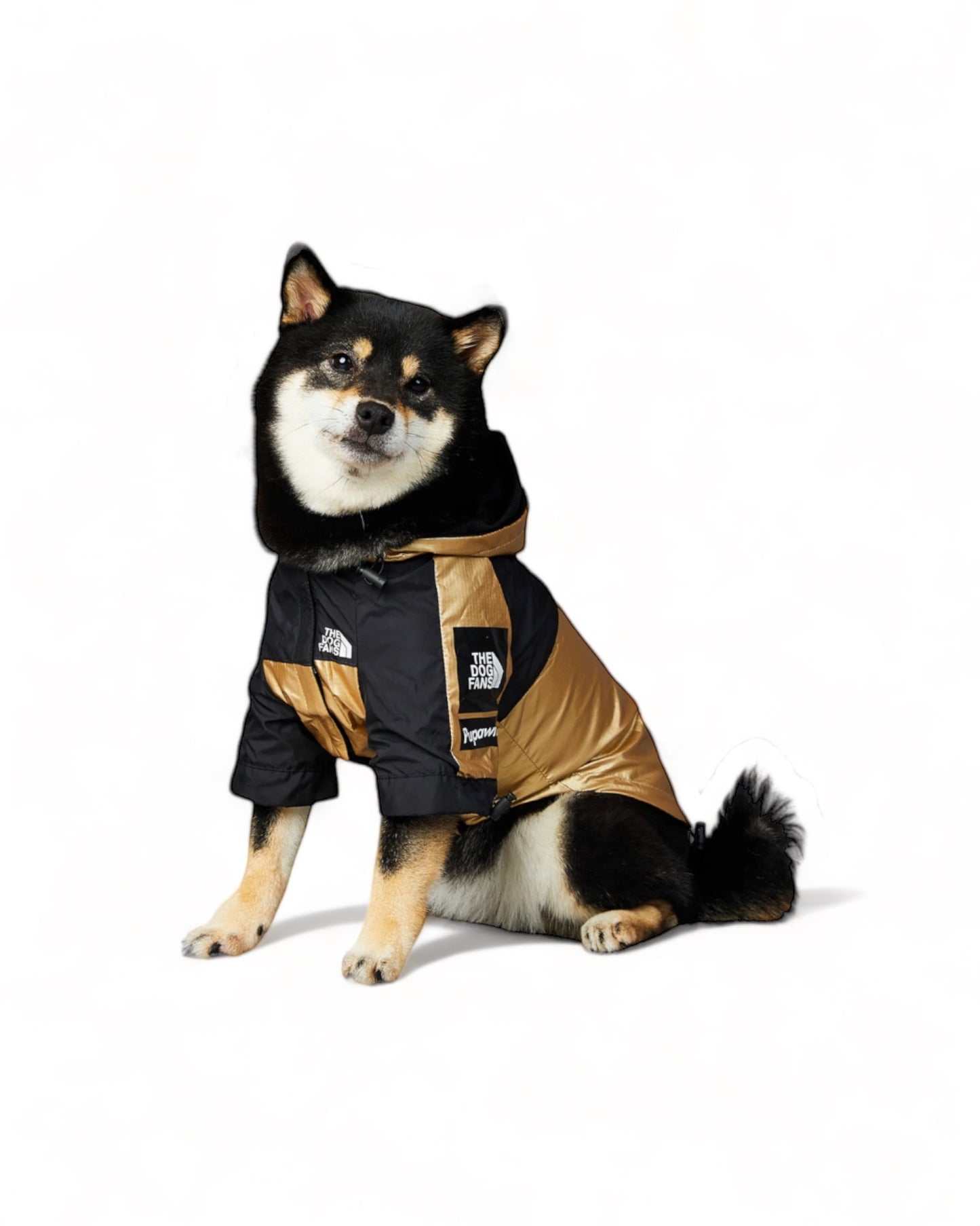 LUXURY WATERPROOF GOLD PET JACKET